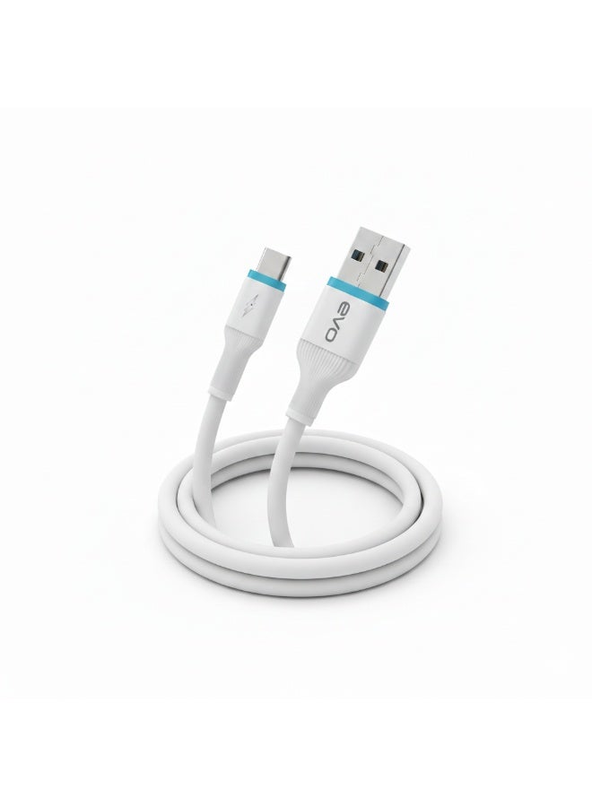 إيفو كابل الشحن السريع ونقل البيانات B06T من USB إلى Type-C، شحن عالي السرعة ونقل بيانات مستقر، تصميم متين مقاوم للانحناء، مقاوم للتشابك والحرارة للاستخدام المنزلي والمكتبي والسفر - Image 1